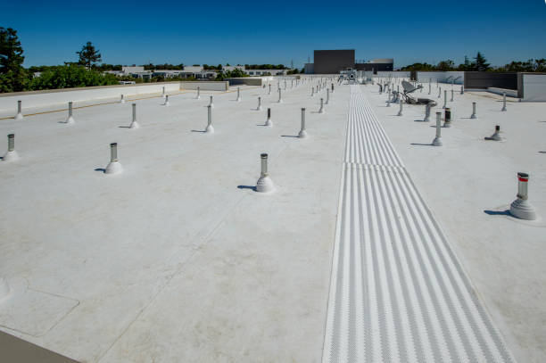 Best Roof Coating and Sealing  in Jewett City, CT